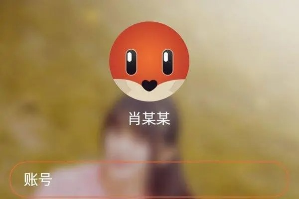 探探是个什么？